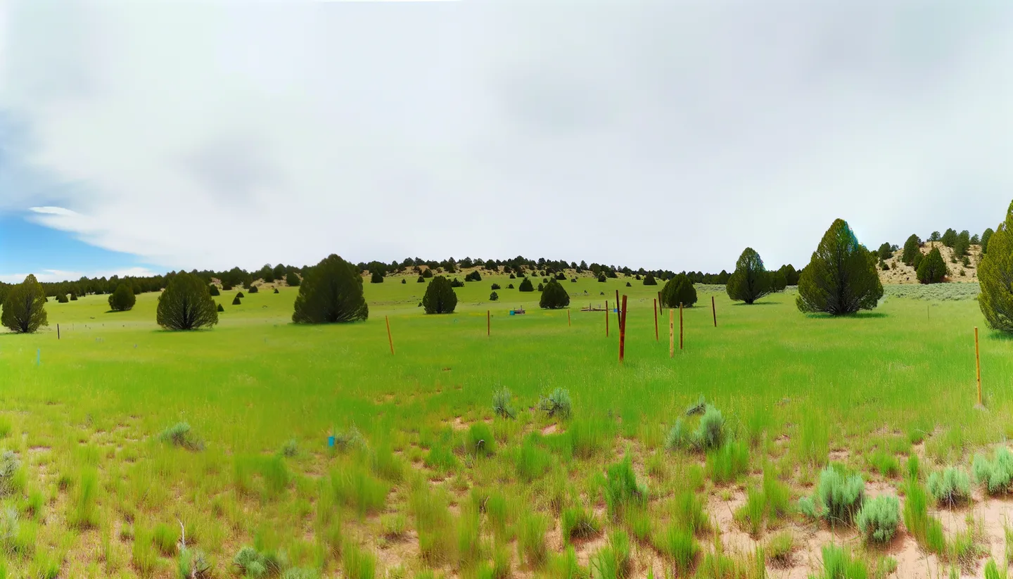 Vacant land parcel in New Mexico